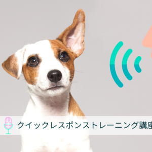 クイックレスポンス講座